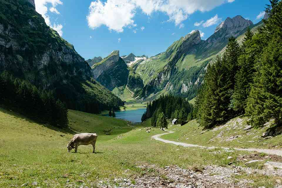Tajska ETA za švicarske državljane featured image